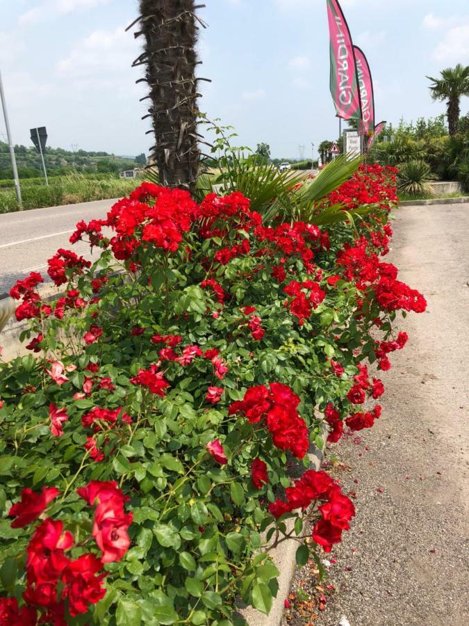 Rosegarden *