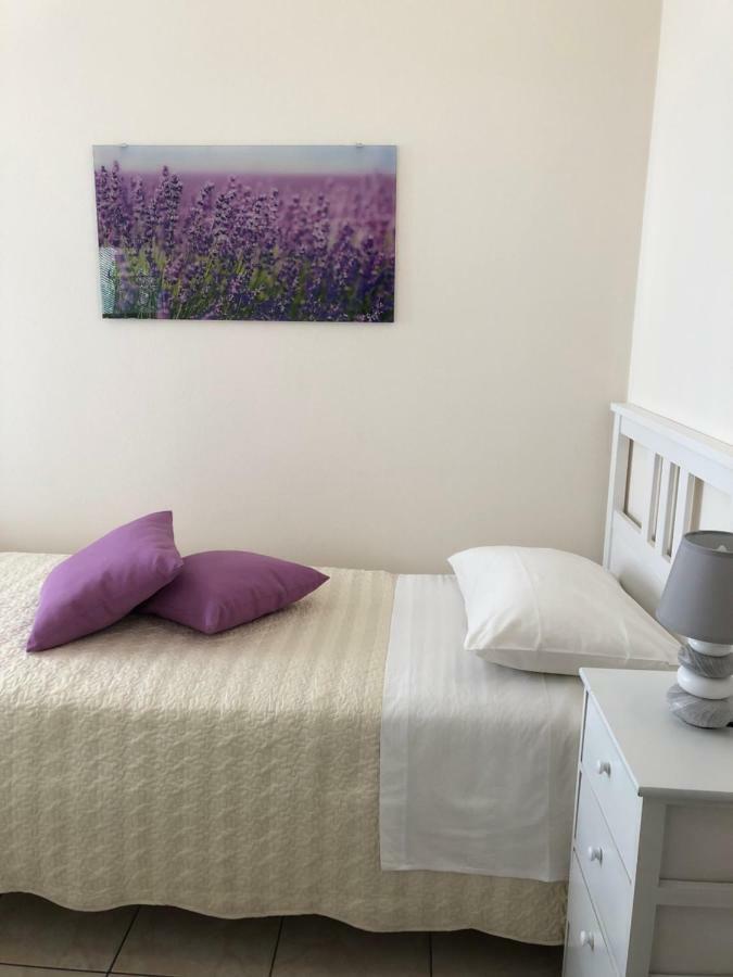 Apartment Rosegarden